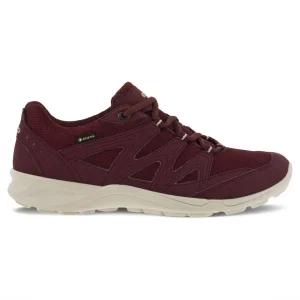 Kävelykengät | Vapaa-Aika<Ecco Terracruise GTX