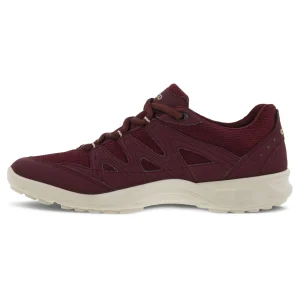 Kävelykengät | Vapaa-Aika<Ecco Terracruise GTX