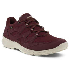 Kävelykengät | Vapaa-Aika<Ecco Terracruise GTX