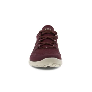 Kävelykengät | Vapaa-Aika<Ecco Terracruise GTX