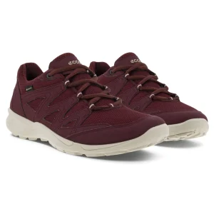 Kävelykengät | Vapaa-Aika<Ecco Terracruise GTX