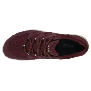 Kävelykengät | Vapaa-Aika<Ecco Terracruise GTX